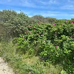 Luxury Home In Quiet Neighbourhood Near Beach